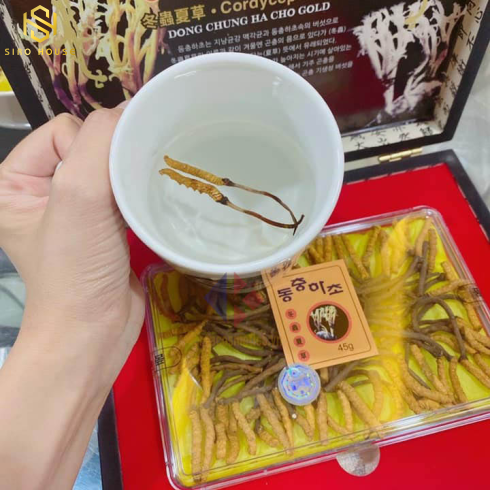 Đông Trùng Hạ Thảo Nguyên Con Hàn Quốc Sấy Hộp Gỗ Khô 45g