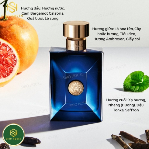Nước hoa nam VERSACE Dylan Blue Pour EDT  100mL