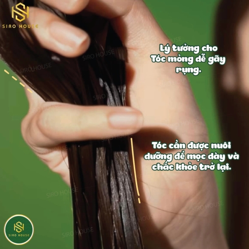 Dầu Xả Tinh Chất Dầu Bưởi Mọc Tóc COCOON Pomelo Conditioner 