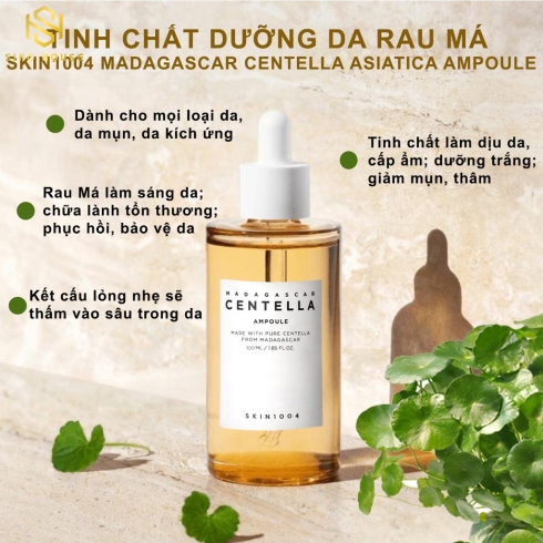 Tinh chất dưỡng da rau má SKIN1004 Madagascar Centella Ampoule 100mL 