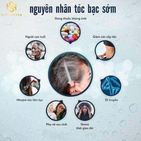 Viên uống trị tóc bạc ANTI-GRAY 60 viên