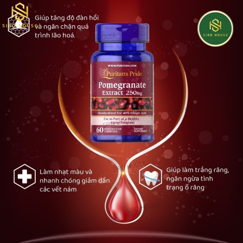 Tinh chất lựu Pomegranate Extract 250mg Puritan Pride