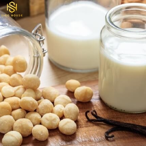 SỮA MACCA - ÓC CHÓ - HẠNH NHÂN - KC HEALTH