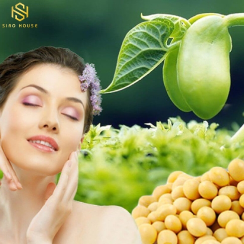 Mầm đậu nành HEALTHY CARE Super Lecithin 100 viên 