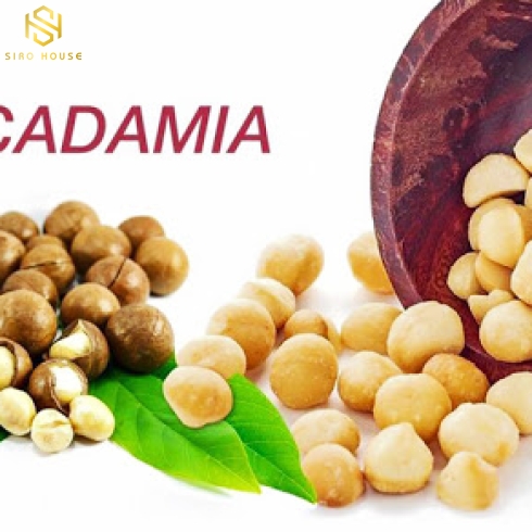 Quả mắc-ca nứt vỏ Apexim Australian Macadamias 500g