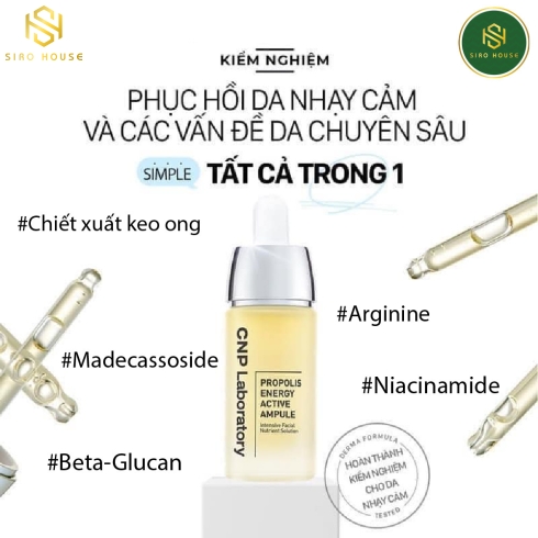 Tinh chất keo ong CNP LABORATORY Propolis Energy Active Ampure 15mL