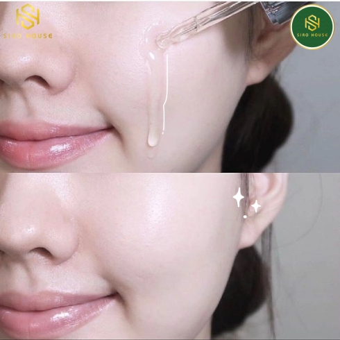 Tinh chất keo ong CNP LABORATORY Propolis Energy Active Ampure 15mL