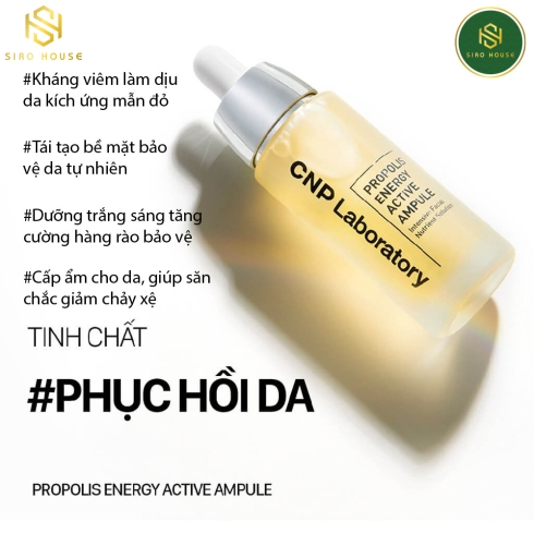 Tinh chất keo ong CNP LABORATORY Propolis Energy Active Ampure 15mL