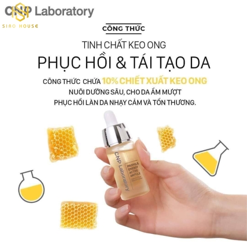 Tinh chất keo ong CNP LABORATORY Propolis Energy Active Ampure 15mL