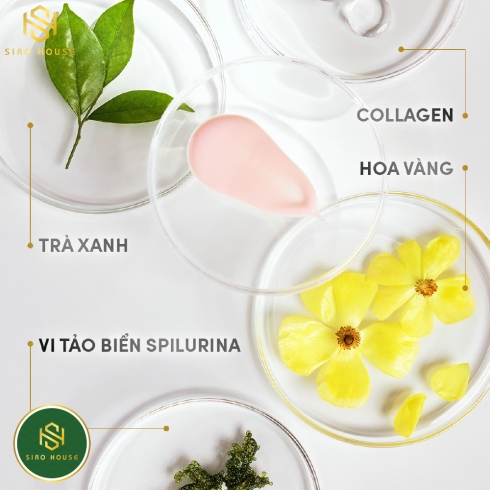 Sữa chống nắng ANESSA Perfect UV Sunscreen Mild Milk 60mL 