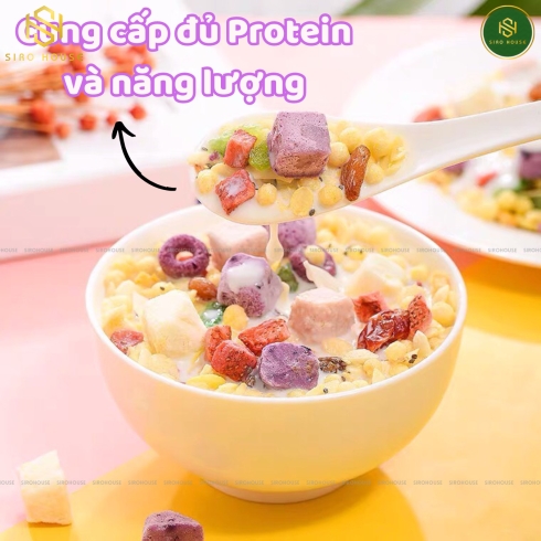 Ngũ cốc sữa chua yến mạch nướng MEIZHOUSHIKE #Mix hạt & trái cây 400g 