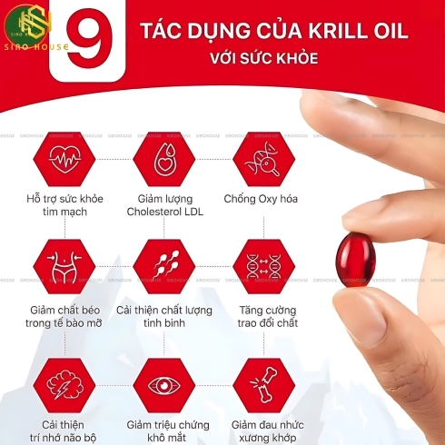 Viên nhuyễn thể Krill oil