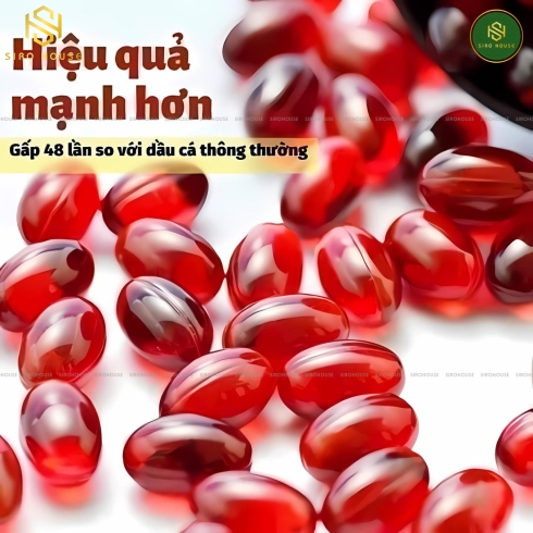 Viên nhuyễn thể Krill oil