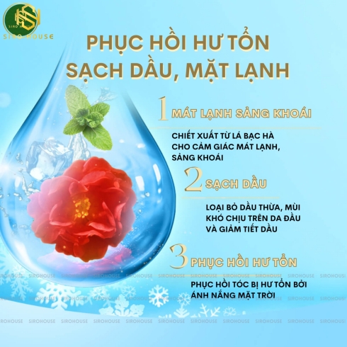 Bộ gội xả TSUBAKI Premium Cool 490ml