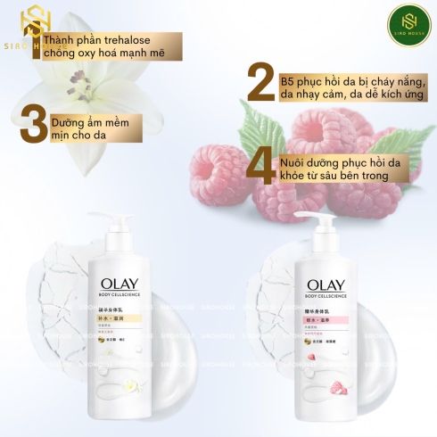 Dưỡng Thể Olay Body Cellscience B5+ Moisturizing Body Lotion 260g