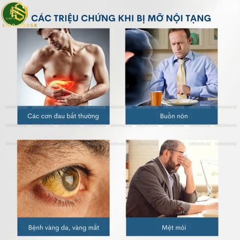 Viên uống thải độc mỡ nội tạng VITATREE Organ Fat Detox 60 viên