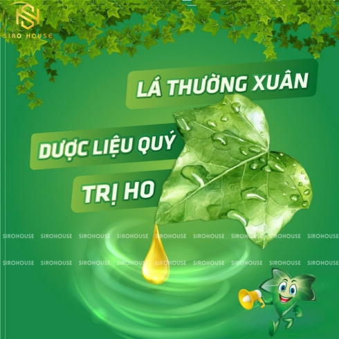  Siro trị ho PROSPAN 100mL - Đức
