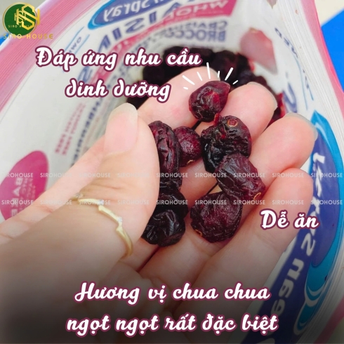 Nam việt quất sấy OCEAN SRAY Craisins Dried Cranberries 1.81kg