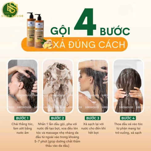 Bộ gội xả gừng BOOTS NATURE