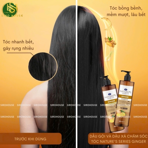 Bộ gội xả gừng BOOTS NATURE