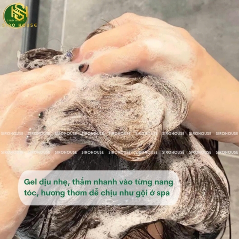 Bộ gội xả gừng BOOTS NATURE