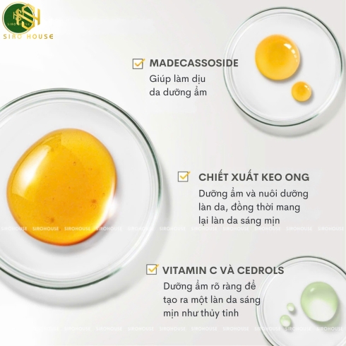 Dưỡng đa năng keo ong CNP Laboratory Propolis Multi Ampule Balm 7g