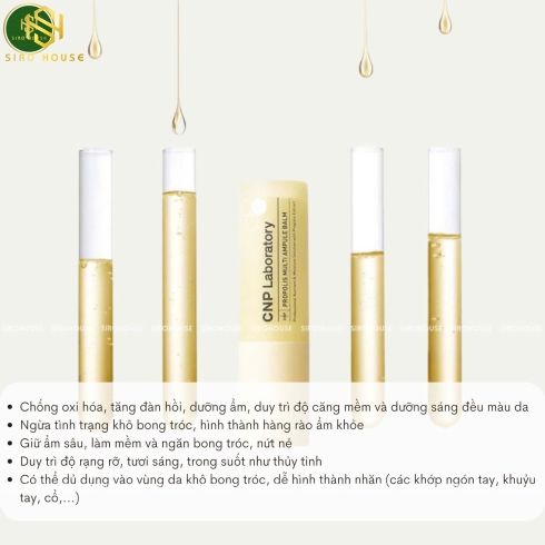 Dưỡng đa năng keo ong CNP Laboratory Propolis Multi Ampule Balm 7g