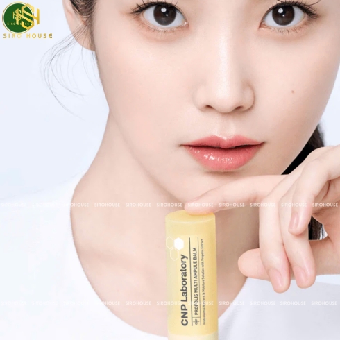 Dưỡng đa năng keo ong CNP Laboratory Propolis Multi Ampule Balm 7g