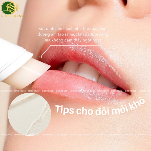 Dưỡng đa năng keo ong CNP Laboratory Propolis Multi Ampule Balm 7g