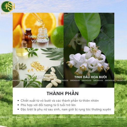 Bộ gội xả bưởi VALERT Plus Grape Fruit 850mL x 2
