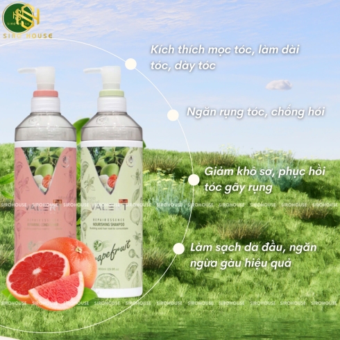 Bộ gội xả bưởi VALERT Plus Grape Fruit 850mL x 2