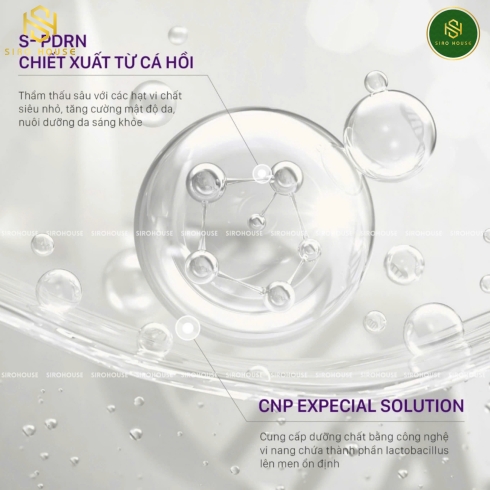 Tinh chất hỗ trợ tái sinh CNP Pdrn Derma Answer Active Boost Ampule 15mL