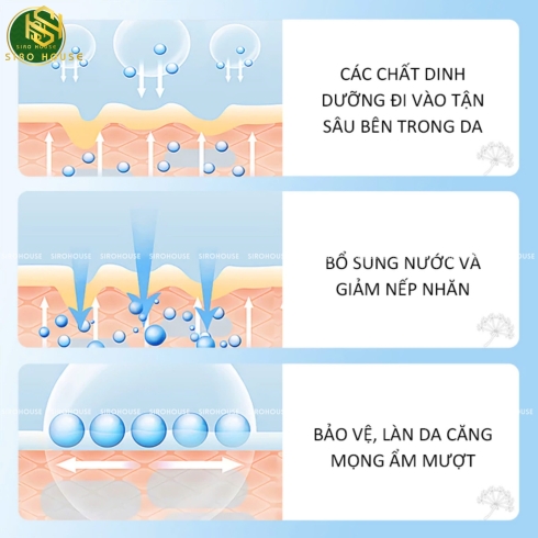 Set tinh chất cấp nước dưỡng ẩm WELLAGE Real Hyaluronic Blue Ampoule 60mL + Túi Refill 60mL