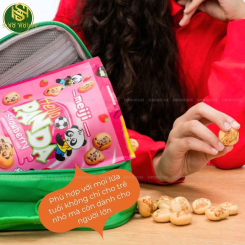 	Bánh quy MEIJI Hello Panda 40g 