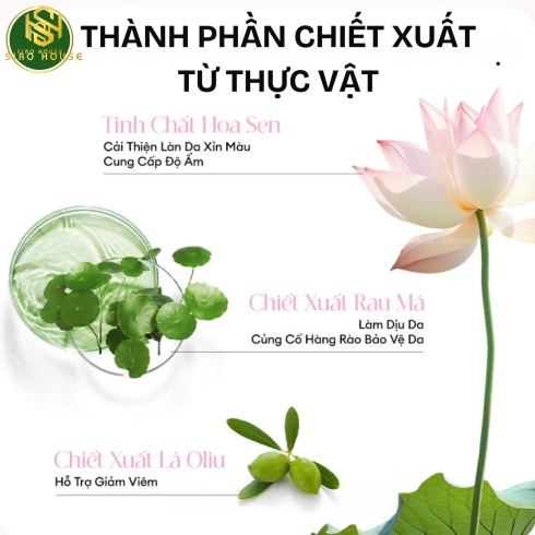 Sữa rửa mặt COLORKEY Luminous Lotus Brightening Clay 100g 