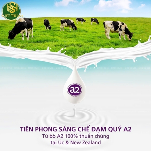 Sữa bột nguyên kem A2 Milk Full Cream Milk 1kg