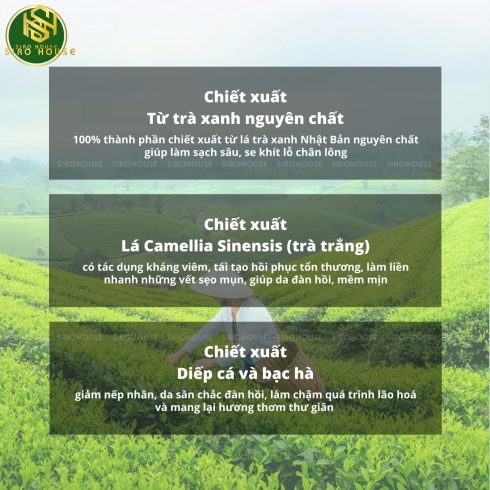 Sữa rửa mặt trà xanh ROHTO Shirochasou 120g