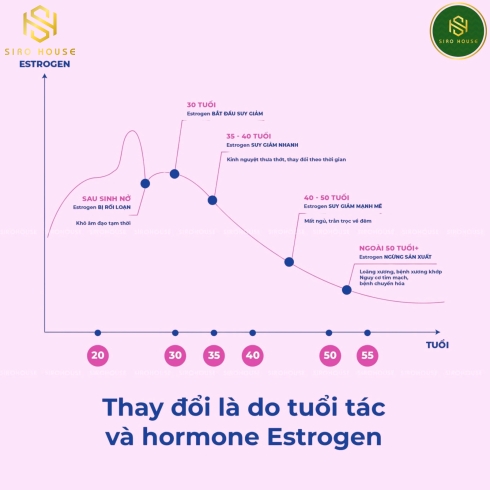 Dung dịch vệ sinh VAGISIL 240ml 