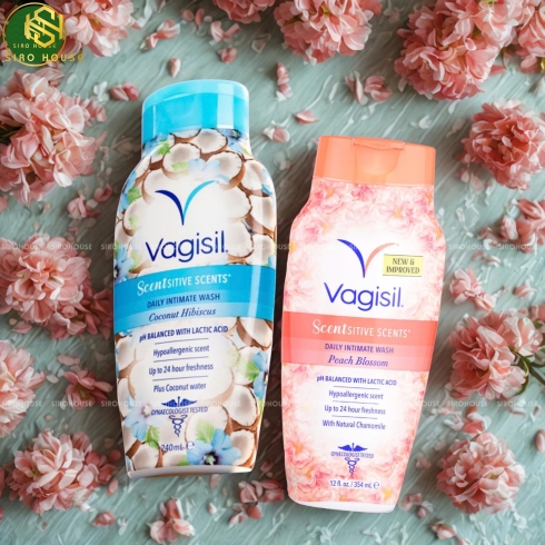 Dung dịch vệ sinh VAGISIL 240ml 