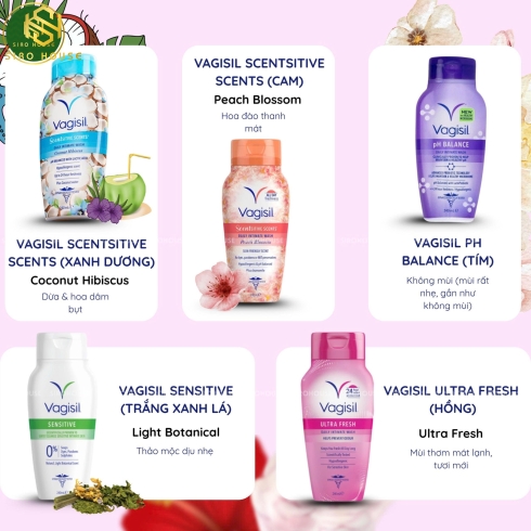 Dung dịch vệ sinh VAGISIL 240ml 