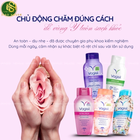 Dung dịch vệ sinh VAGISIL 240ml 