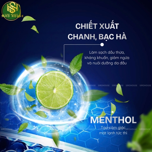 Dầu gội CLEAR Men Cool Sport Menthol 480mL & Dầu gội CLEAR Ice Cool Menthol 450mL   