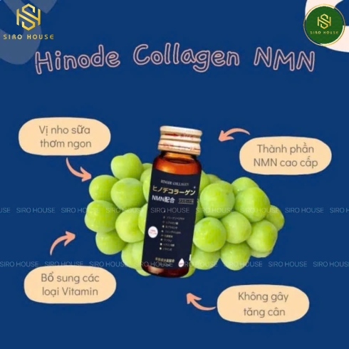 Collagen nước NMN Hinode Collagen 10 chai x 50mL