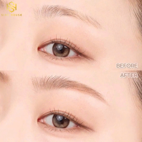 Mascara chân mày ROMAND Han All Brow Cara 9g - 01 Grace Taupe & 02 Mild Woody 