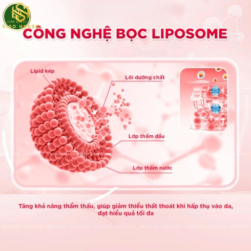  Mặt nạ dạng rút WONJIN Glutathione Brightening Skin 30 miếng